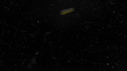 Русскую красотку LuxuryGirl трахнули раком возле холодильника